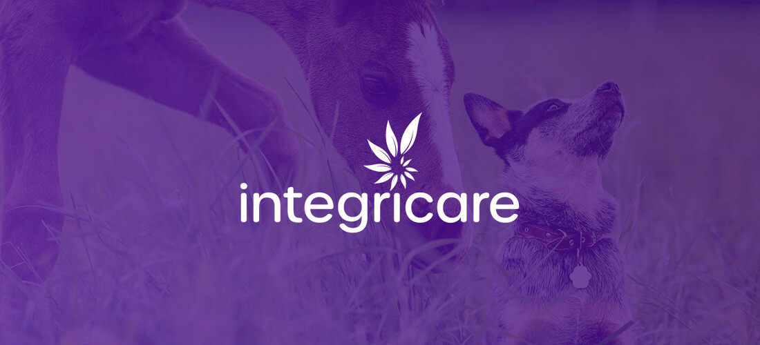 integricare-cover