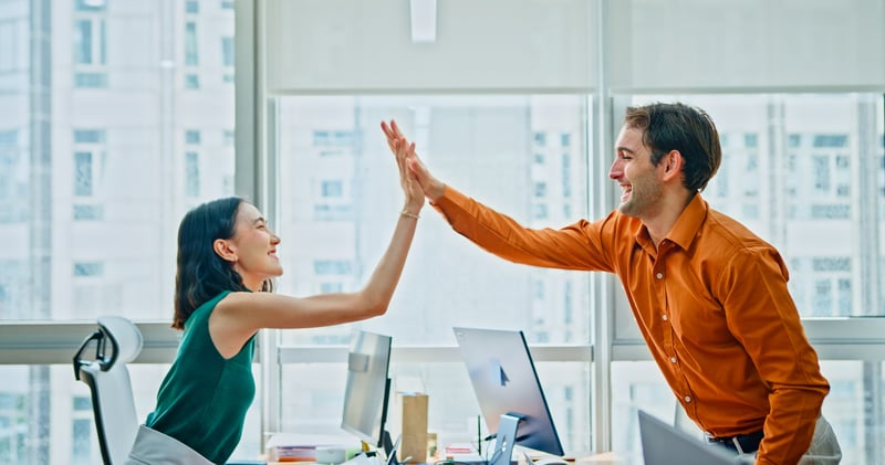 Services Provided by WordPress Development Companies in the USA