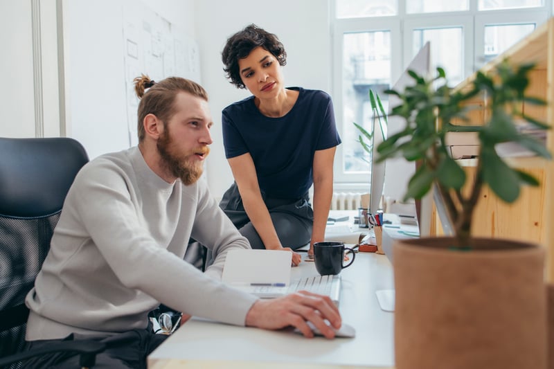 Types of Services Link Building Services Offered