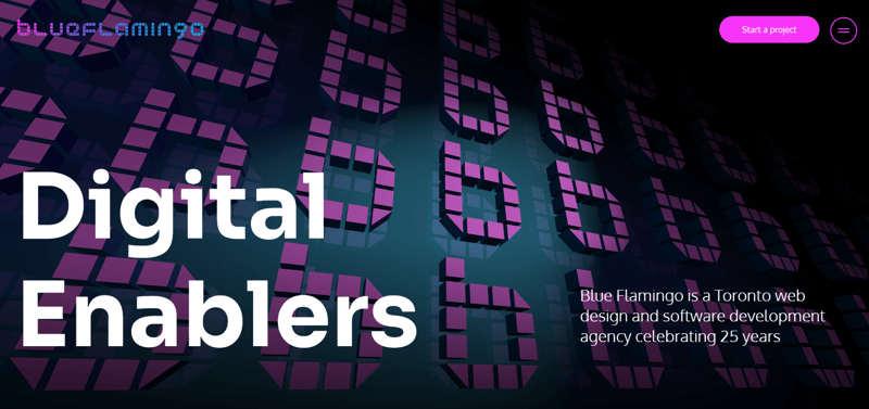 Blue Flamingo Solutions