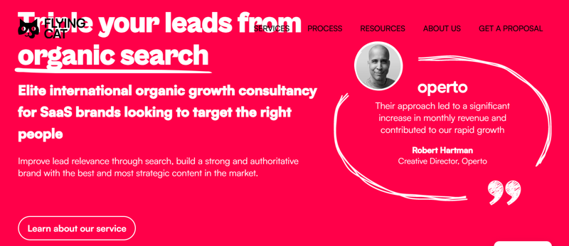 Flying Cat Marketing