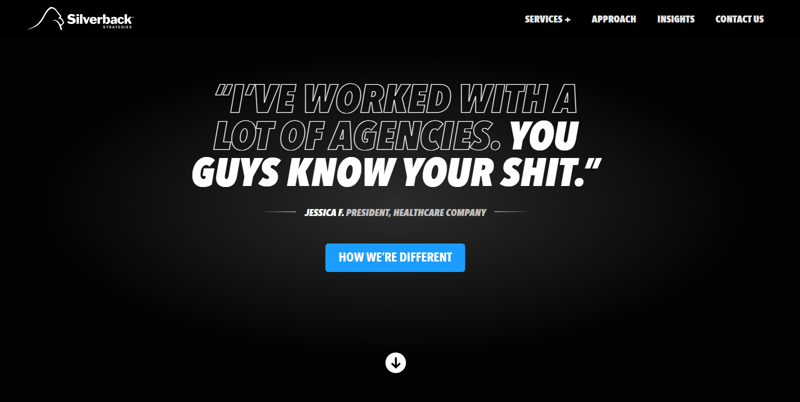 Silverback Strategies